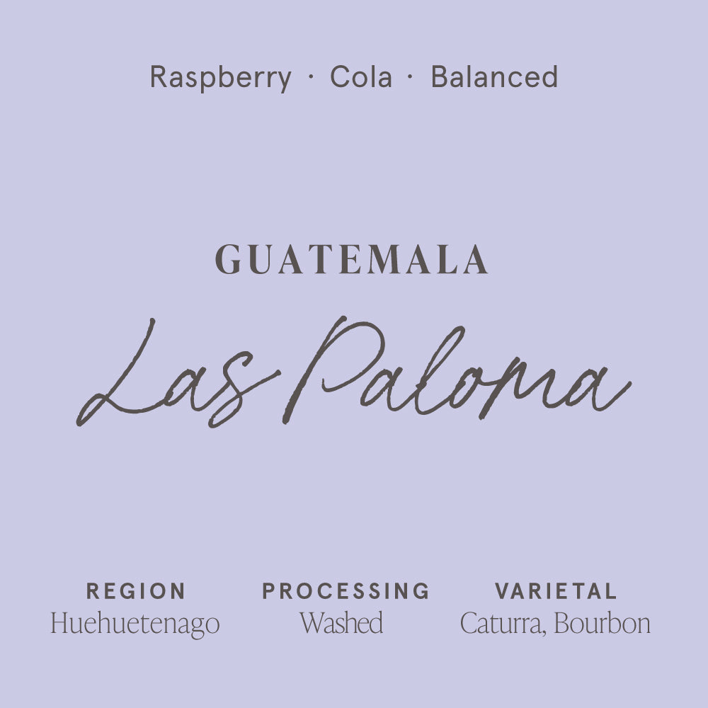 Guatemala Las Paloma